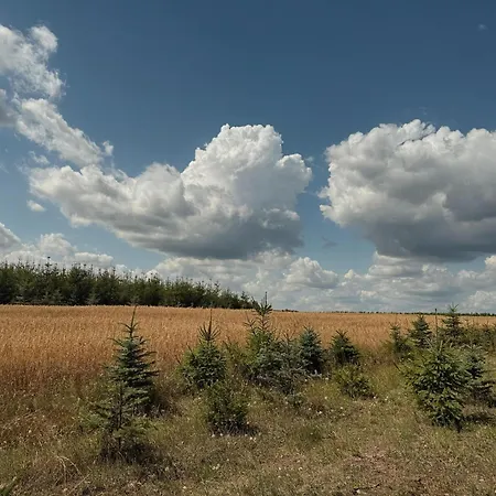 I Winnica - Siedlisko Na Polanie Apartamento *