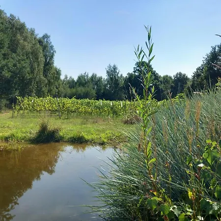 Apartment I Winnica - Siedlisko Na Polanie