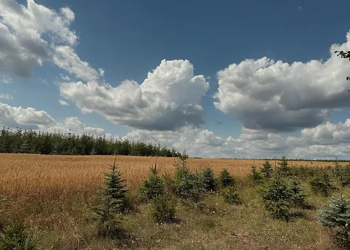 I Winnica - Siedlisko Na Polanie Apartamento *