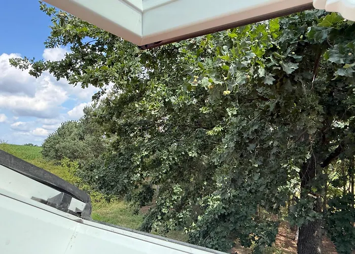 Apartamento I Winnica - Siedlisko Na Polanie