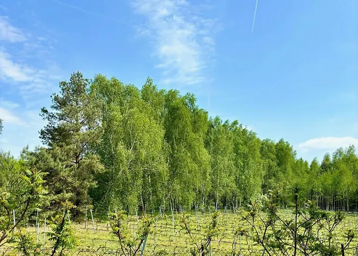 I Winnica - Siedlisko Na Polanie Apartamento Lipka Wielka