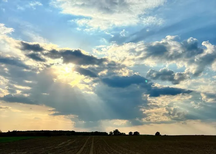 I Winnica - Siedlisko Na Polanie *