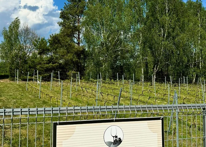 I Winnica - Siedlisko Na Polanie * Lipka Wielka