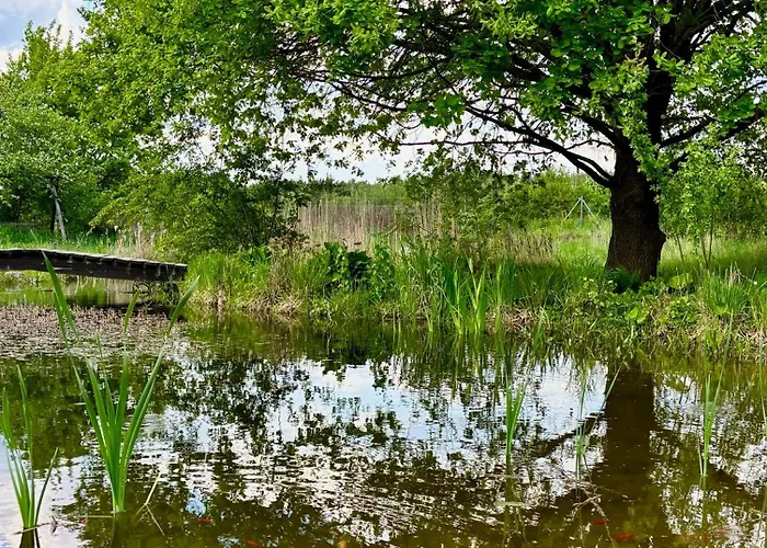 I Winnica - Siedlisko Na Polanie * Lipka Wielka