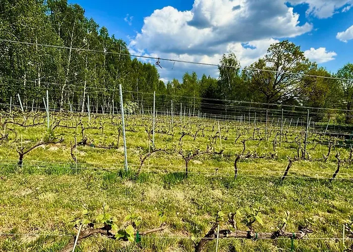 I Winnica - Siedlisko Na Polanie Apartamento *