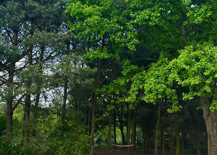 I Winnica - Siedlisko Na Polanie * Lipka Wielka