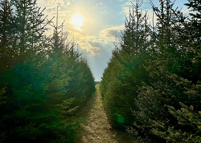 I Winnica - Siedlisko Na Polanie Apartamento