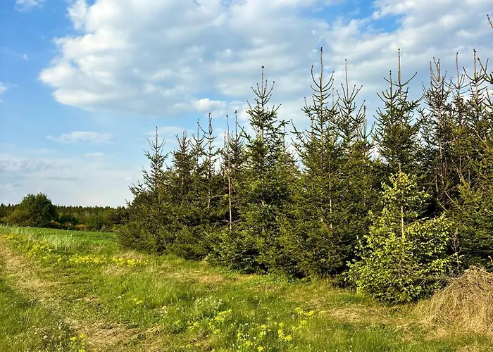 I Winnica - Siedlisko Na Polanie
