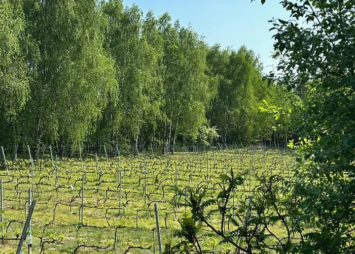 I Winnica - Siedlisko Na Polanie Apartamento