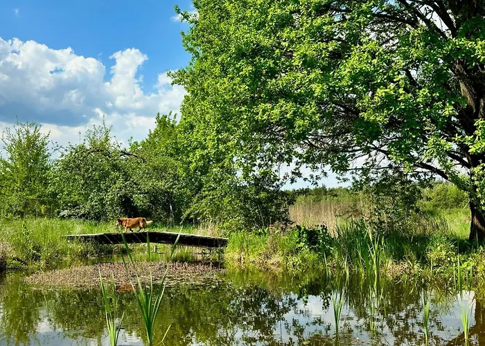 Apartamento I Winnica - Siedlisko Na Polanie