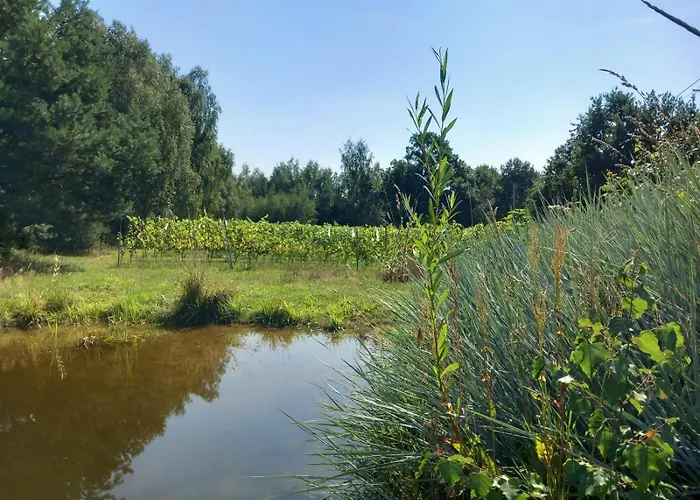 Apartamento I Winnica - Siedlisko Na Polanie